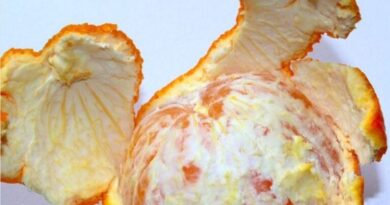 Don’t throw away the orange peel! Discover the amazing things you can do with it